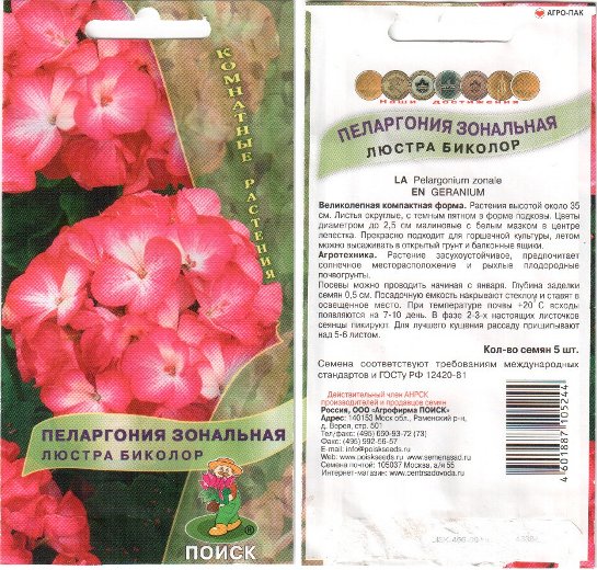 Файл:Pelargonium zonale Люстра биколор seeds 2013 03 09.jpg
