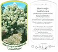 Гортензия метельчатая Grandiflora, этикетка