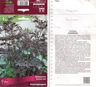 Клопогон ветвистый "Atropurpurea"