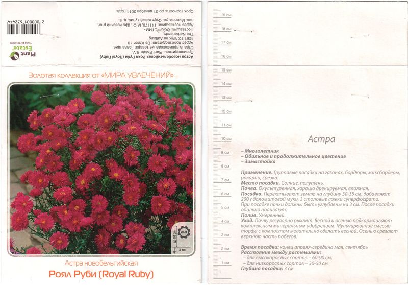 Файл:Aster Royal Ruby label 2014-02-03.jpg