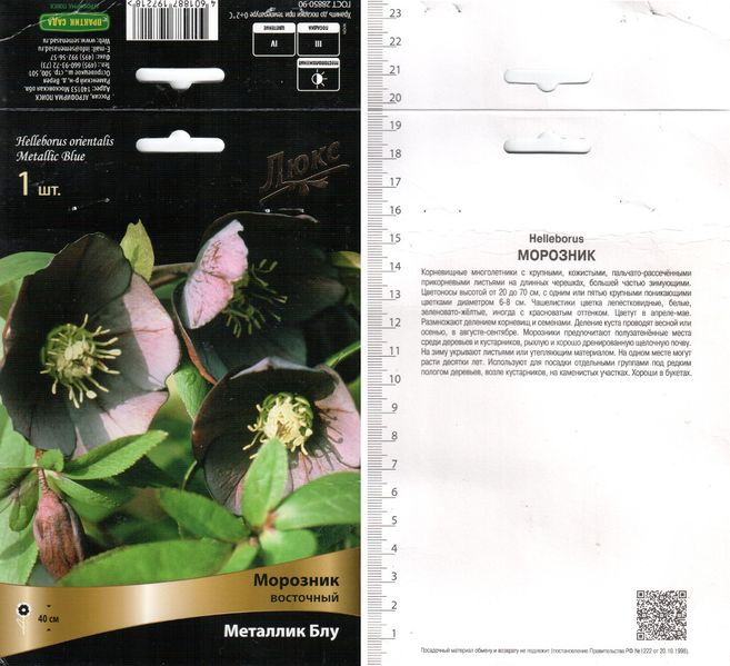 Файл:Helleborus orientalis Metallic Blue label 2015-03-12.jpg