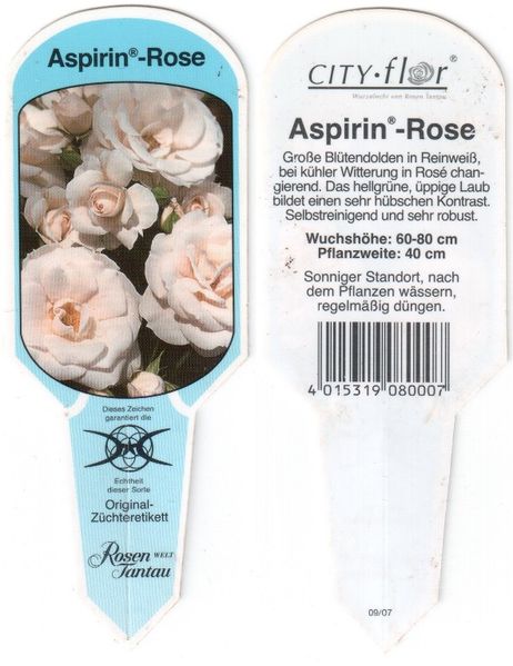 Файл:Rosa Aspirin-Rose label 2011 02 13.jpg