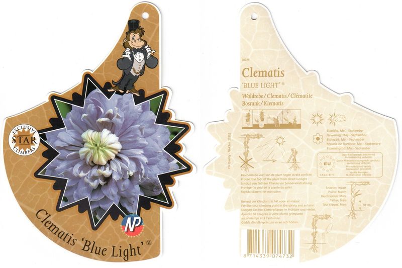 Файл:Clematis Blue Light label 2011 02 13.jpg
