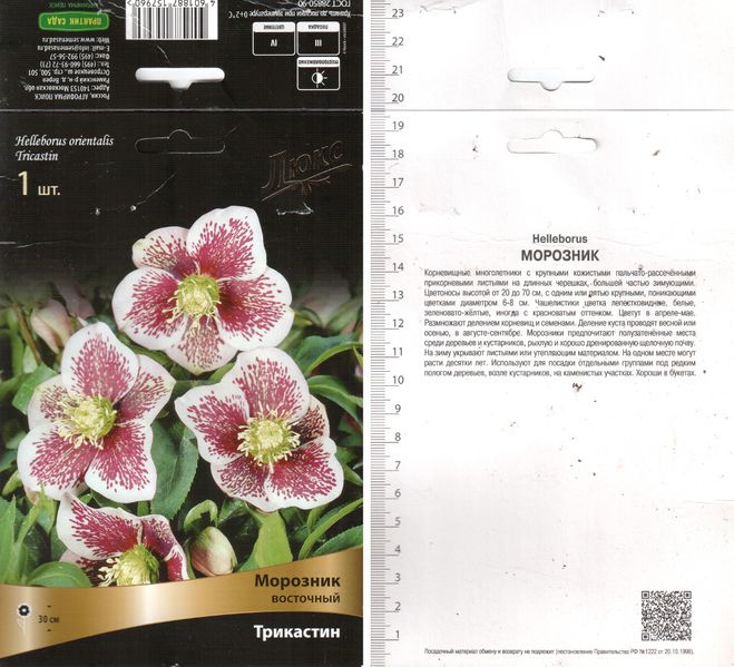 Файл:Helleborus orientalis Tricastin label 2015-04-22.jpg