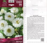 Астра новобельгийская "White Ladies"