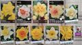 Этикетки