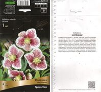 Морозник восточный "Tricastin"